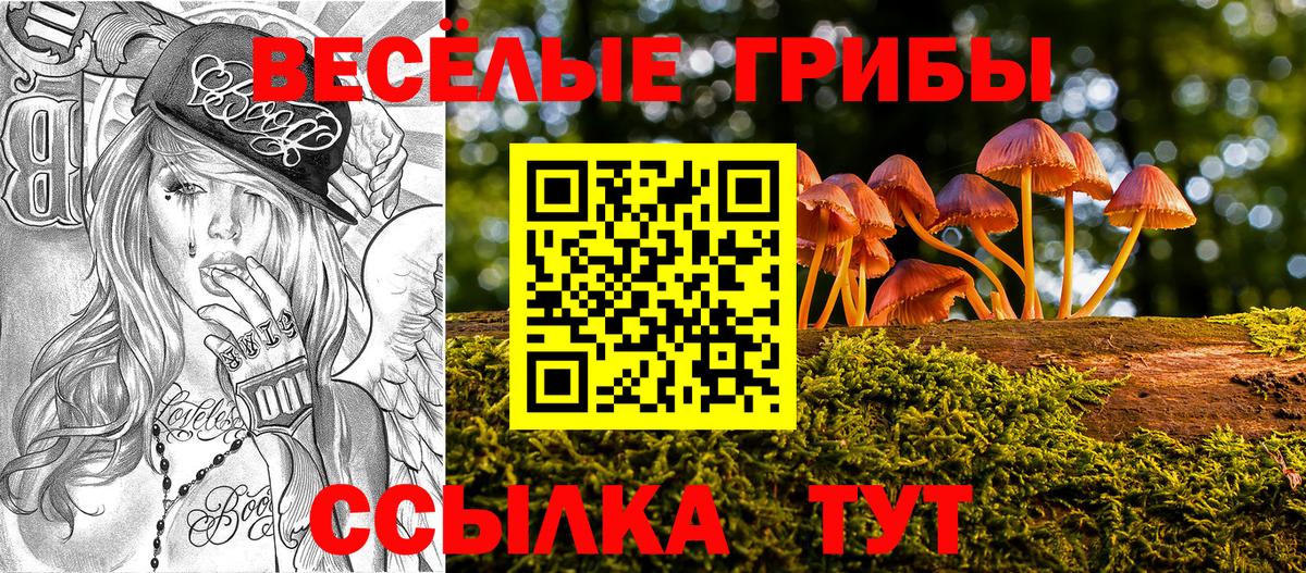 Псилоцибиновые грибы GOLDEN TEACHER  Галлюциногенные грибы Psilocybe  Вход с VPN  Киров 