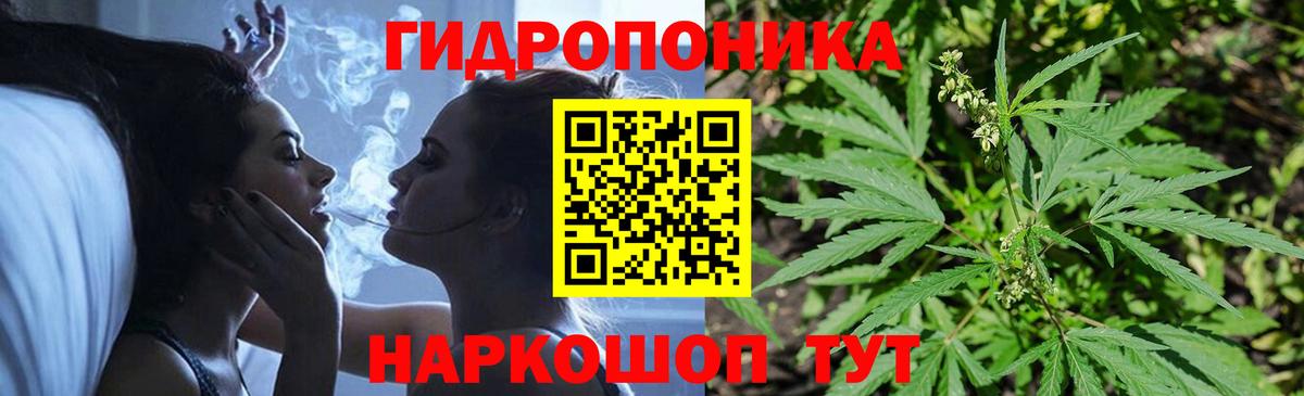 Киров  Бошки Шишки конопля  Бошки Шишки план  Вход с VPN 